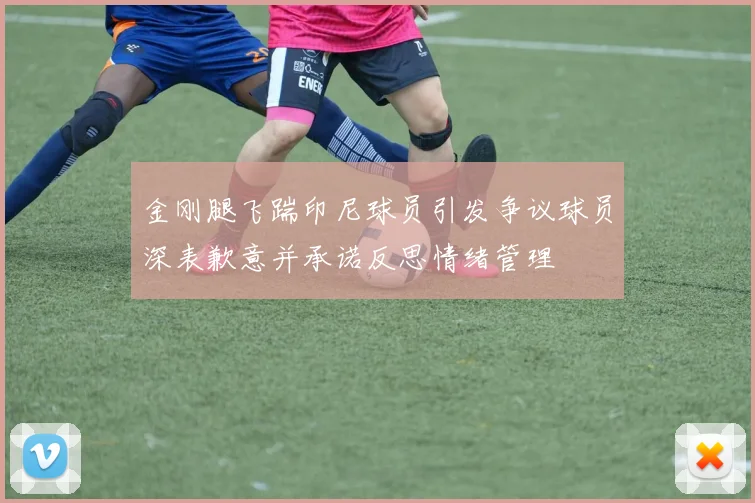 金刚腿飞踹印尼球员引发争议球员深表歉意并承诺反思情绪管理